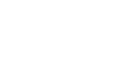 WordPress Logo